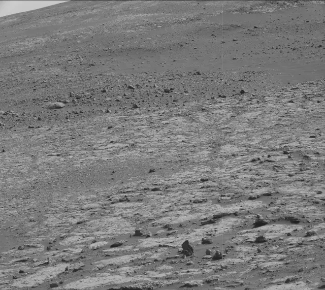 Sol 2009: Mast Camera (Mastcam)