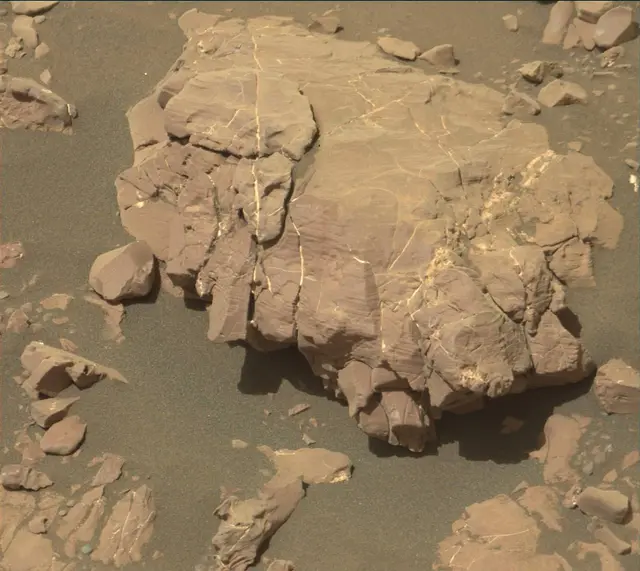 Sol 2009: Mast Camera (Mastcam)