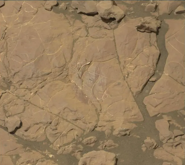 Sol 2009: Mast Camera (Mastcam)