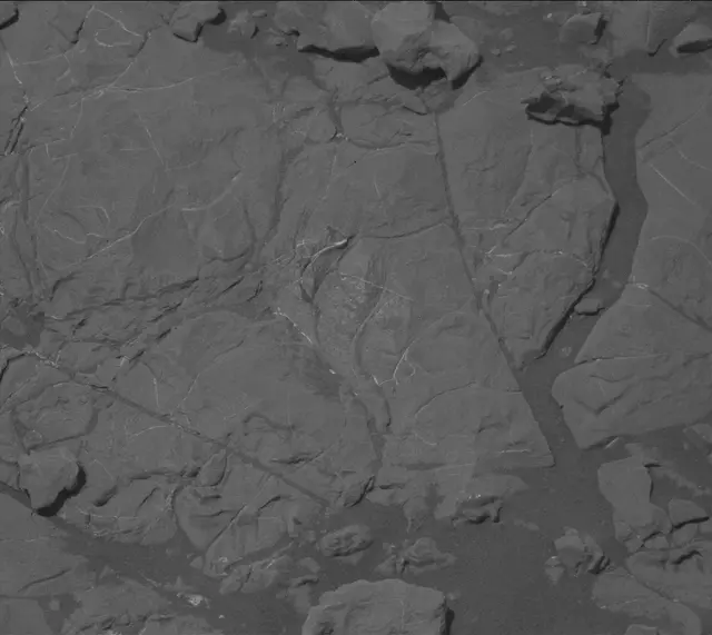 Sol 2009: Mast Camera (Mastcam)
