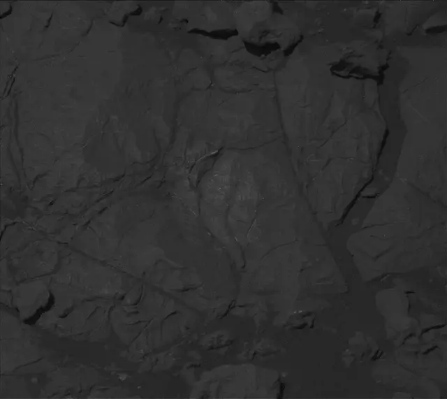 Sol 2009: Mast Camera (Mastcam)