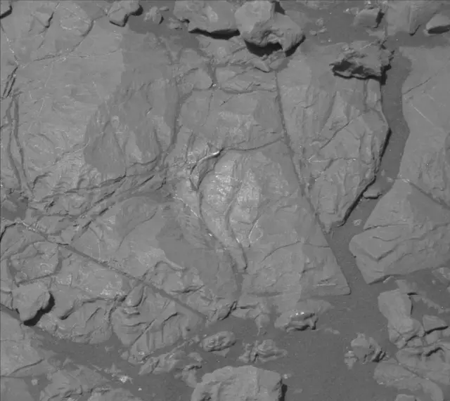 Sol 2009: Mast Camera (Mastcam)