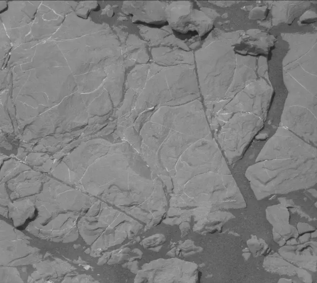 Sol 2009: Mast Camera (Mastcam)