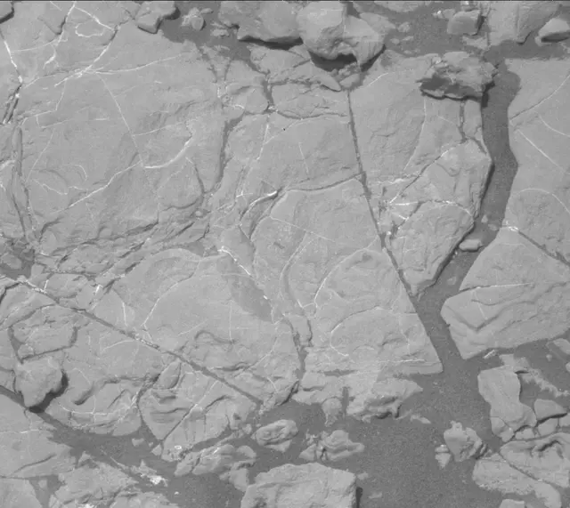 Sol 2009: Mast Camera (Mastcam)