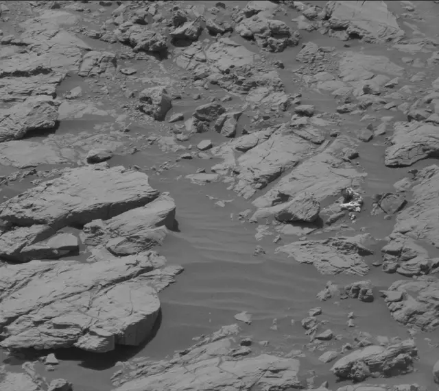 Sol 2009: Mast Camera (Mastcam)