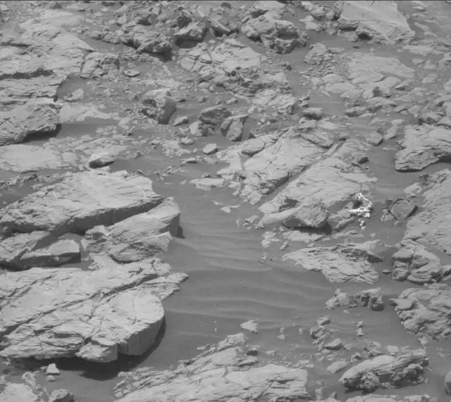 Sol 2009: Mast Camera (Mastcam)