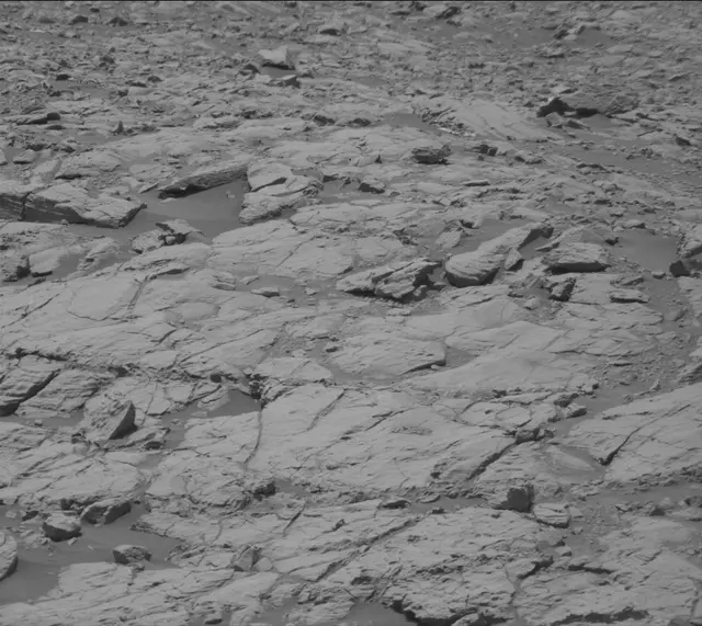 Sol 2009: Mast Camera (Mastcam)