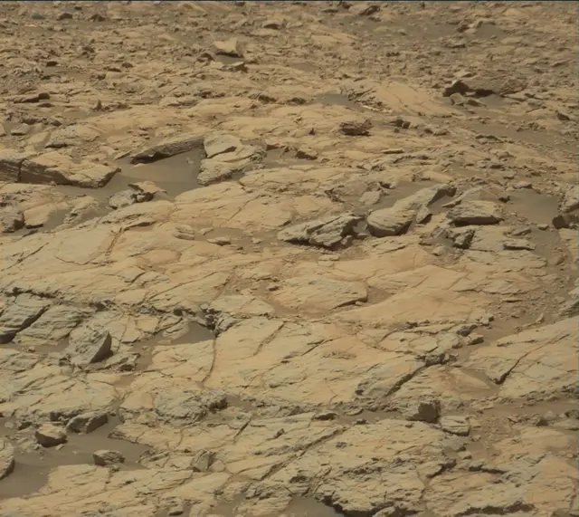 Sol 2009: Mast Camera (Mastcam)