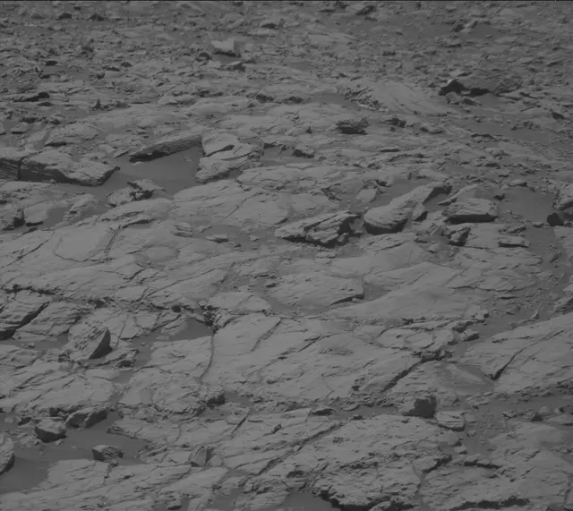 Sol 2009: Mast Camera (Mastcam)