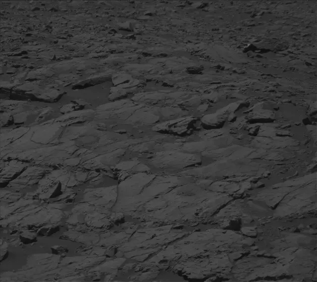 Sol 2009: Mast Camera (Mastcam)
