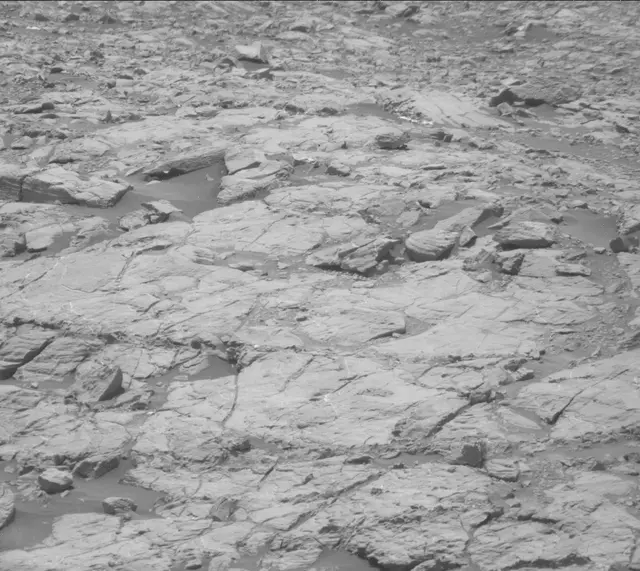 Sol 2009: Mast Camera (Mastcam)