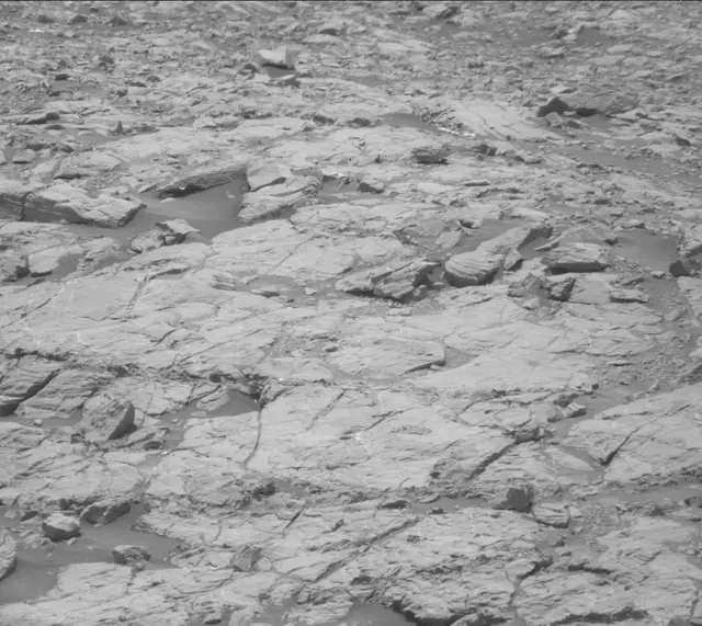 Sol 2009: Mast Camera (Mastcam)