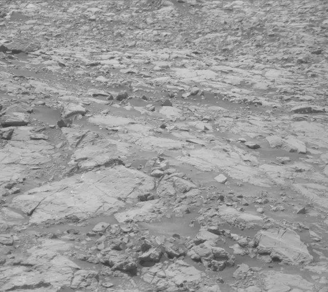 Sol 2009: Mast Camera (Mastcam)