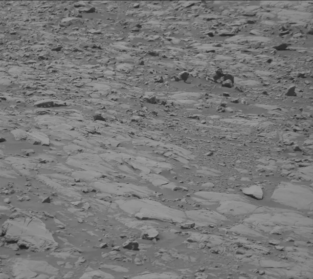 Sol 2009: Mast Camera (Mastcam)