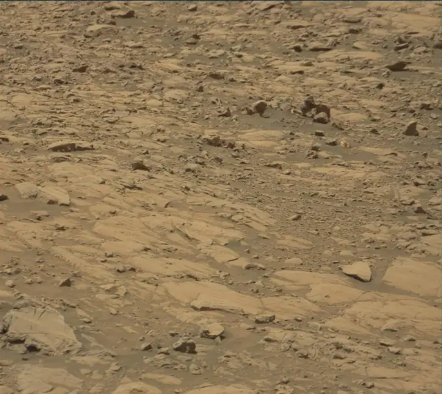 Sol 2009: Mast Camera (Mastcam)