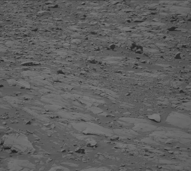Sol 2009: Mast Camera (Mastcam)