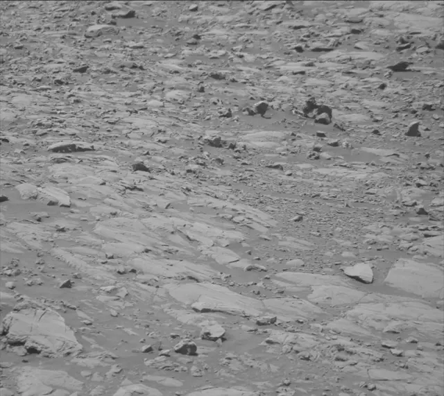 Sol 2009: Mast Camera (Mastcam)