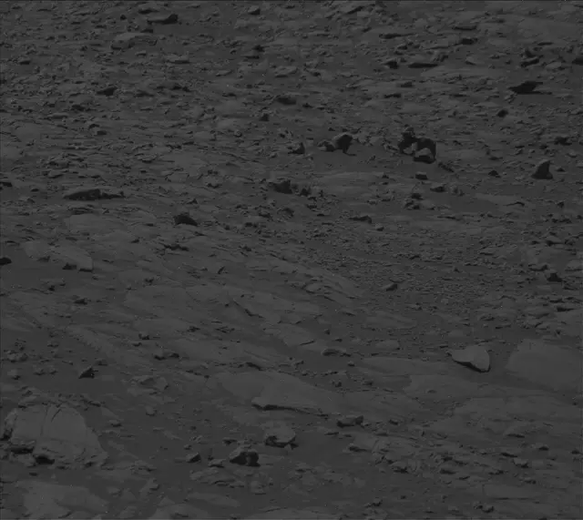 Sol 2009: Mast Camera (Mastcam)