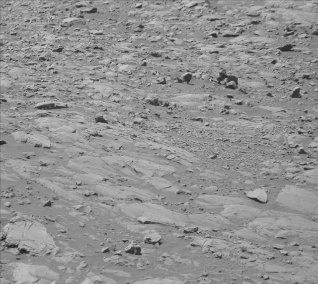 Sol 2009: Mast Camera (Mastcam)
