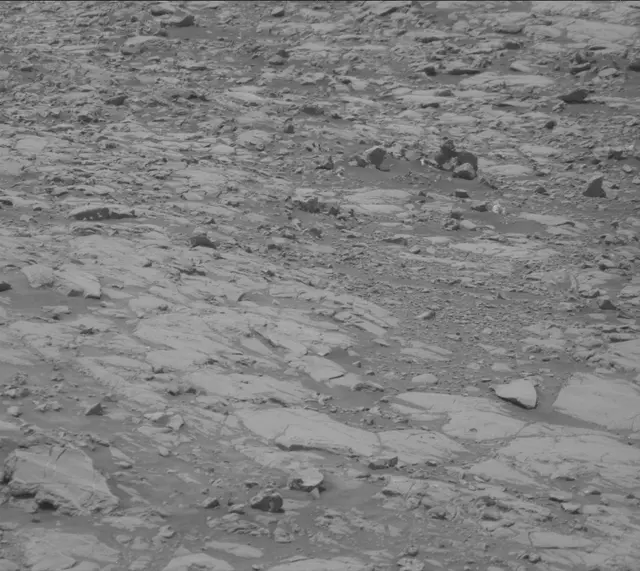 Sol 2009: Mast Camera (Mastcam)