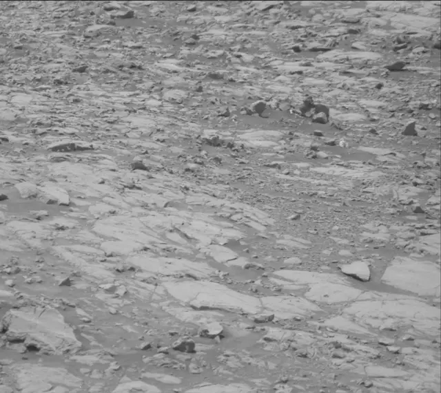 Sol 2009: Mast Camera (Mastcam)