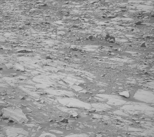 Sol 2009: Mast Camera (Mastcam)