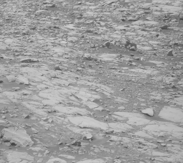 Sol 2009: Mast Camera (Mastcam)
