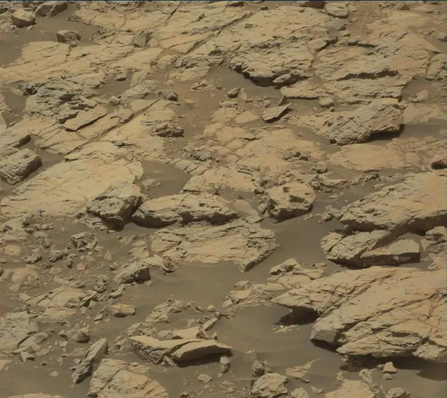 Sol 2009: Mast Camera (Mastcam)