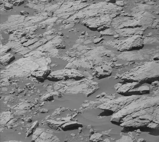 Sol 2009: Mast Camera (Mastcam)