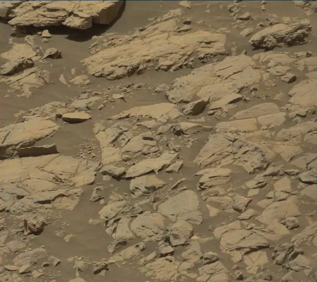 Sol 2009: Mast Camera (Mastcam)