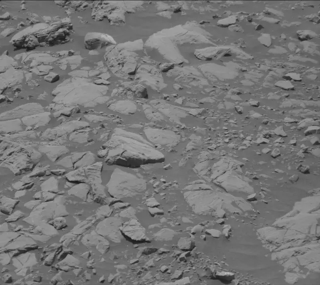 Sol 2009: Mast Camera (Mastcam)