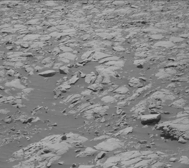 Sol 2009: Mast Camera (Mastcam)