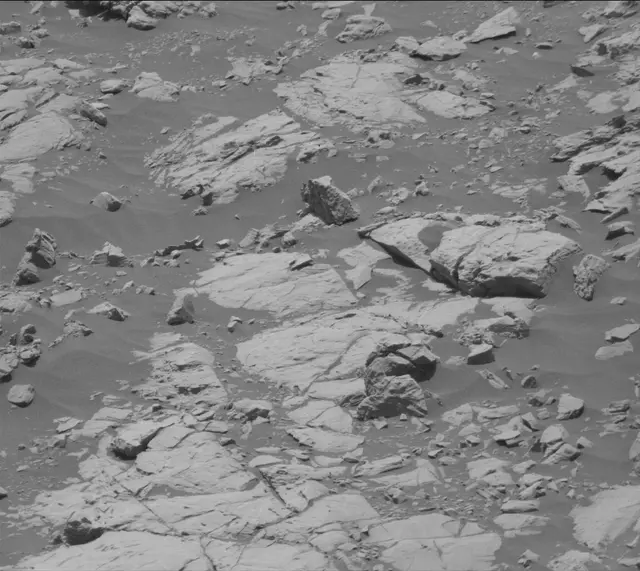 Sol 2009: Mast Camera (Mastcam)