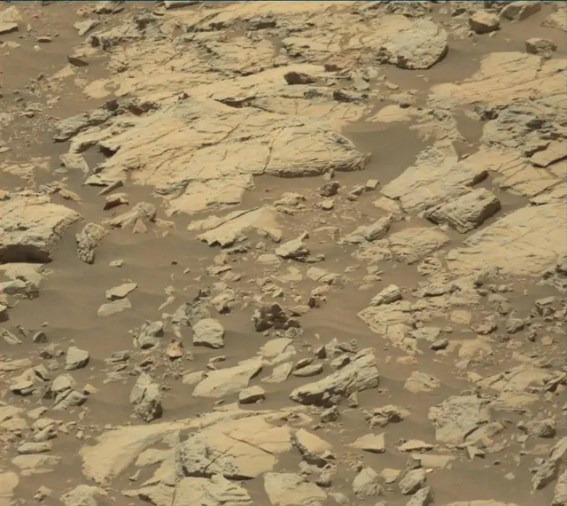 Sol 2009: Mast Camera (Mastcam)