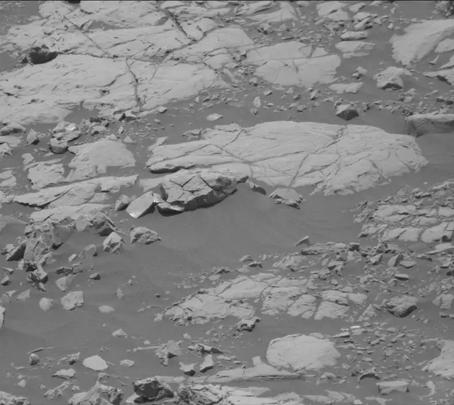 Sol 2009: Mast Camera (Mastcam)