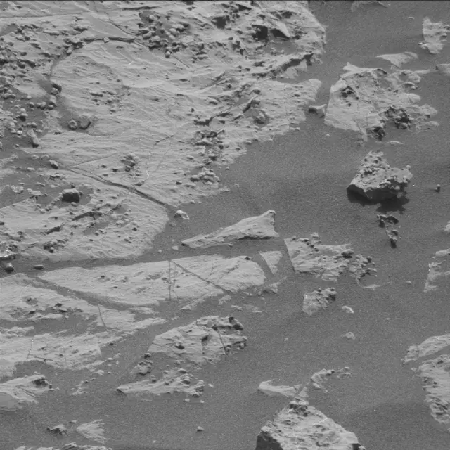 Sol 2009: Mast Camera (Mastcam)