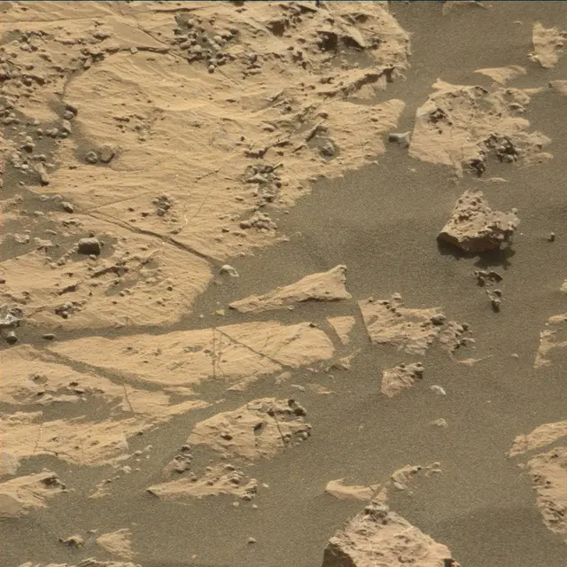 Sol 2009: Mast Camera (Mastcam)