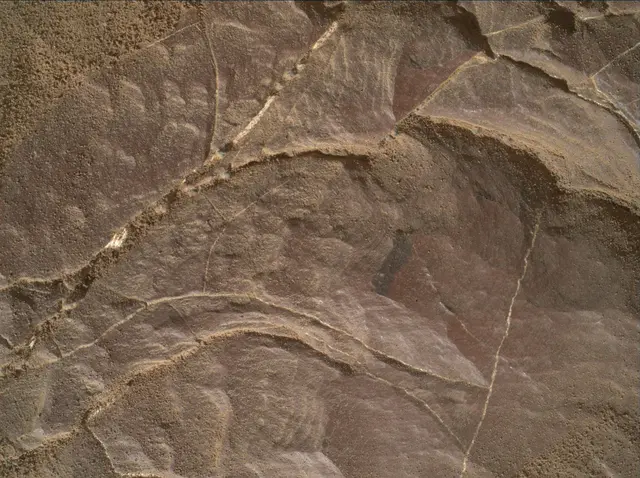 Sol 2009: Mars Hand Lens Imager (MAHLI)