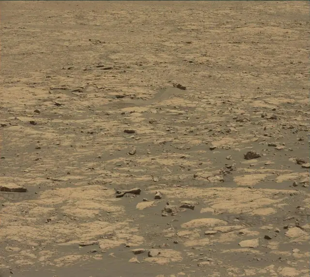 Sol 2013: Mast Camera (Mastcam)