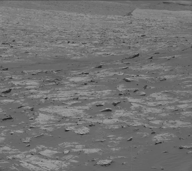 Sol 2013: Mast Camera (Mastcam)