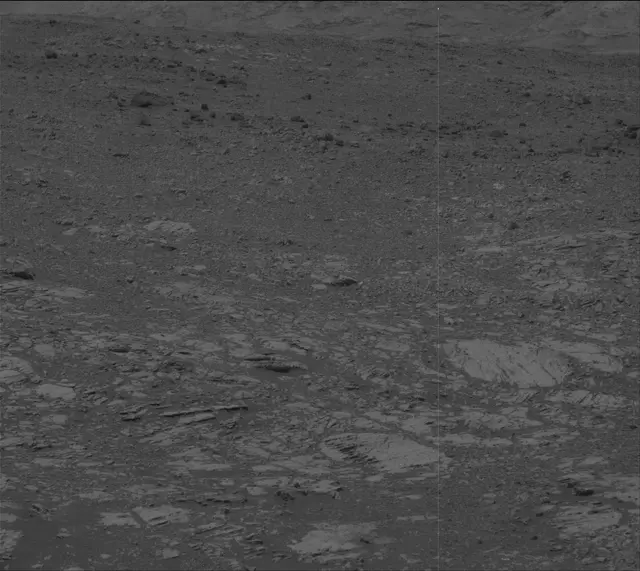 Sol 2013: Mast Camera (Mastcam)