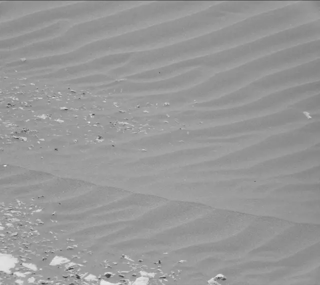 Sol 2013: Mast Camera (Mastcam)