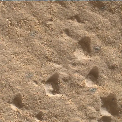 Sol 2013: Mars Hand Lens Imager (MAHLI)