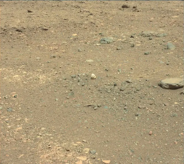 Sol 2014: Mast Camera (Mastcam)