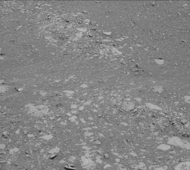 Sol 2014: Mast Camera (Mastcam)