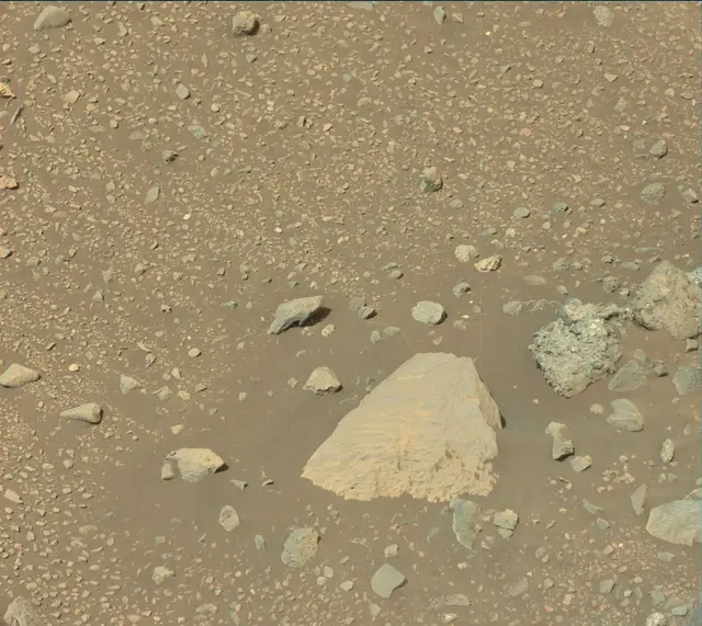 Sol 2014: Mast Camera (Mastcam)