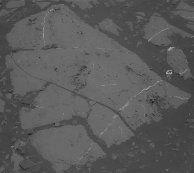 Sol 2014: Mast Camera (Mastcam)