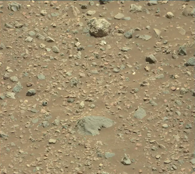 Sol 2014: Mast Camera (Mastcam)