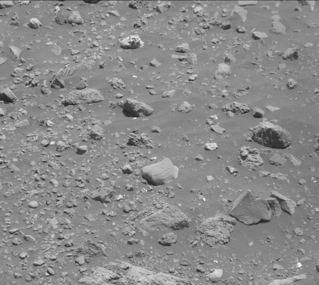 Sol 2014: Mast Camera (Mastcam)