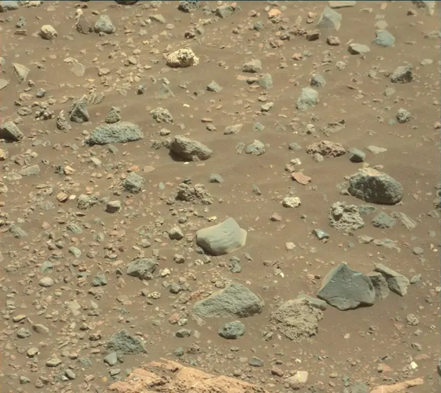 Sol 2014: Mast Camera (Mastcam)